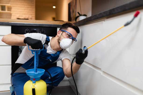 Trusted Stevensville, MT Pest Control Experts
