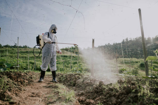 Best Pest Prevention Services  in Stevensville, MT