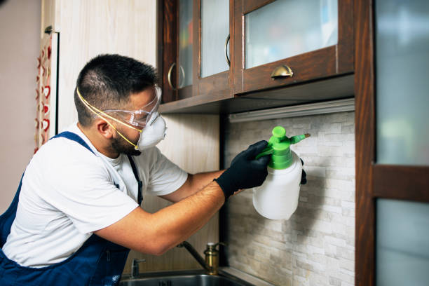 Best Best Pest Control Companies  in Stevensville, MT