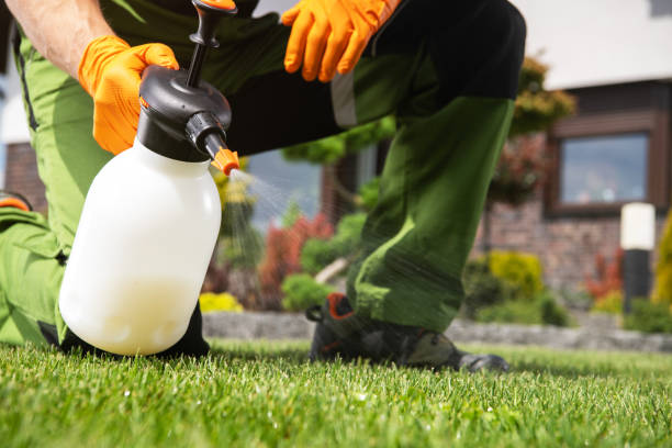 Best Emergency Pest Control  in Stevensville, MT